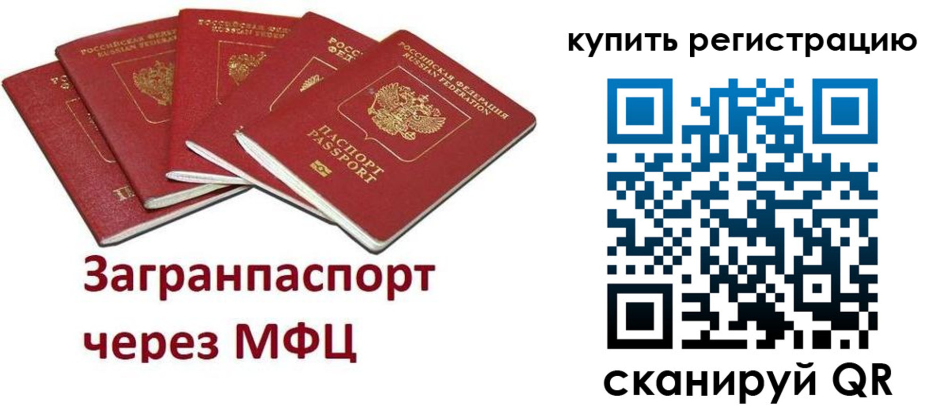 прописка гарантия в Апатитах